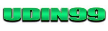 Logo Udin99